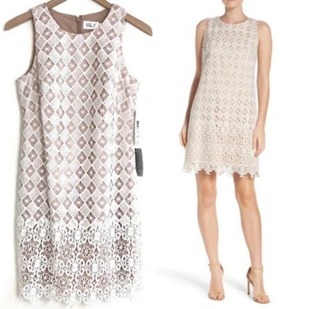 NWT Eliza J Sleeveless Ivory Lace w Nude Underlay Shift Dress 4